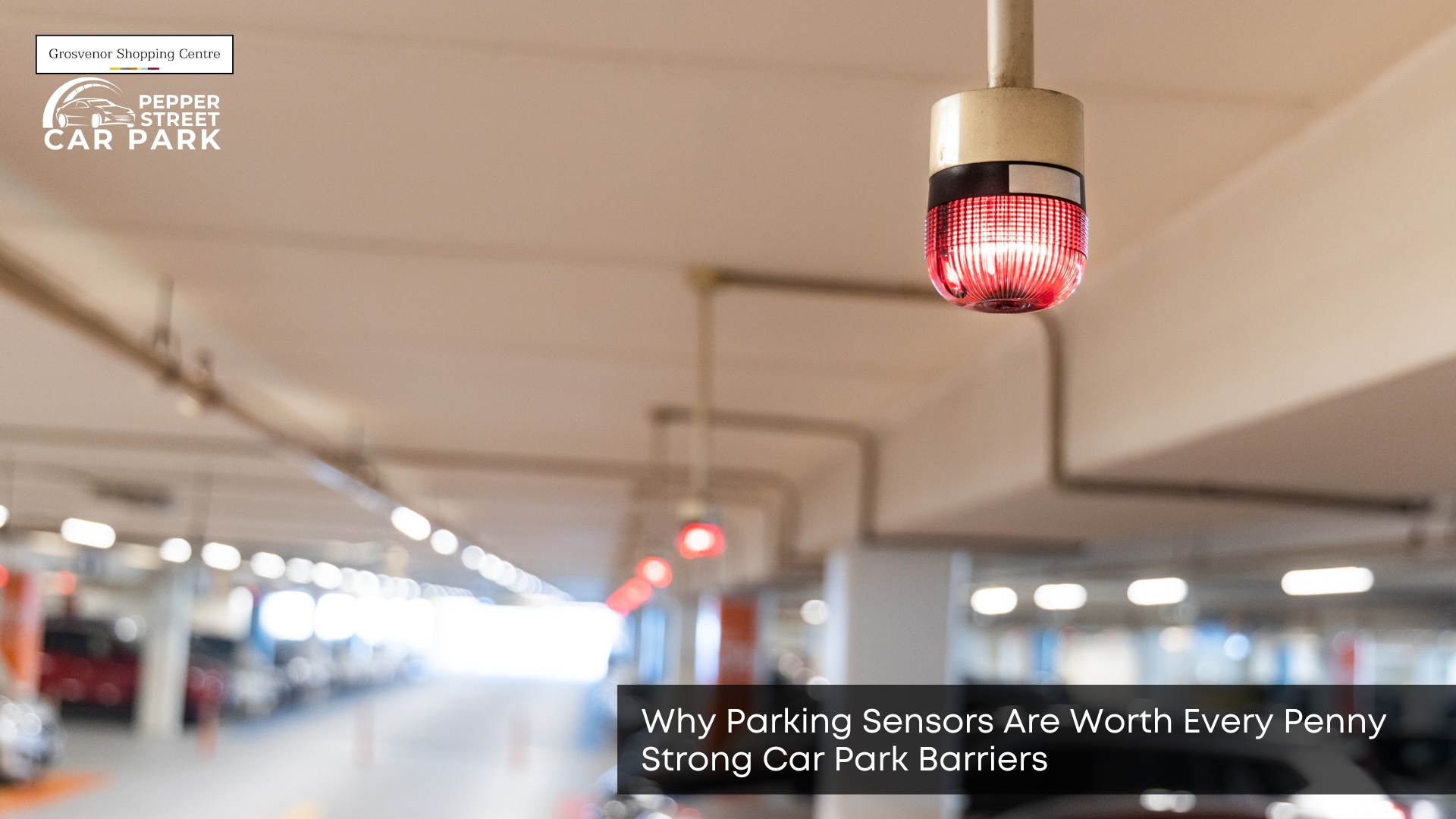 why parking sensors are worth every penny